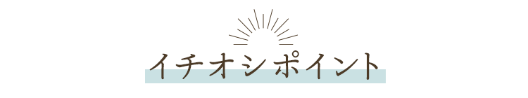 イチオシポイント